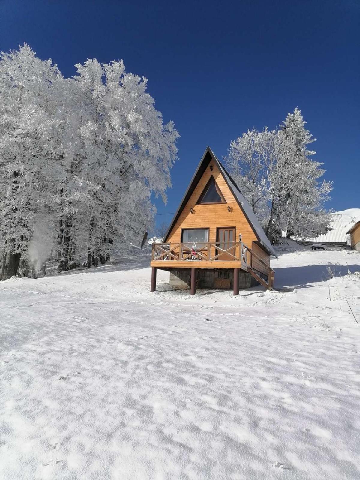 Koliba Luca Smrcevo Brdo Villa Žabljak Dış mekan fotoğraf